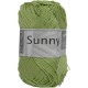Sunny 166 - Anis